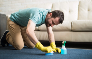 Choosing the Right Rug Cleaning Company: What Separates Exceptional Results from Disappointment 