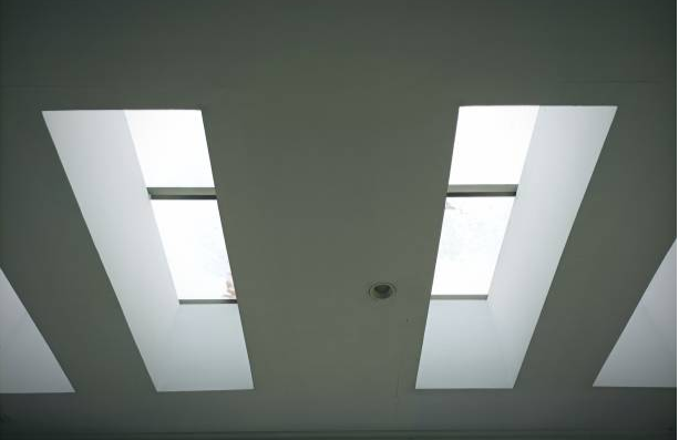 Flat-roofed spaces are often overlooked when it comes to natural light and architectural appeal. However, installing stylish rooflights