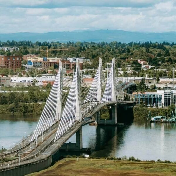 NAEGELI Deposition and Trial