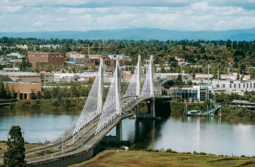 NAEGELI Deposition and Trial